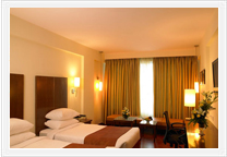 Paradise,Jaipur - Deluxe Room