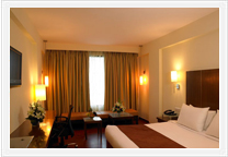 Paradise,Jaipur - Executive Room