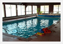 Paradise Regency Indoor - swimming pool