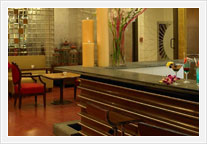 Royal Orchid Central jaipur - Refrigerated Mini Bar