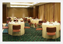 Royal Orchid Central jaipur - Orchid Room